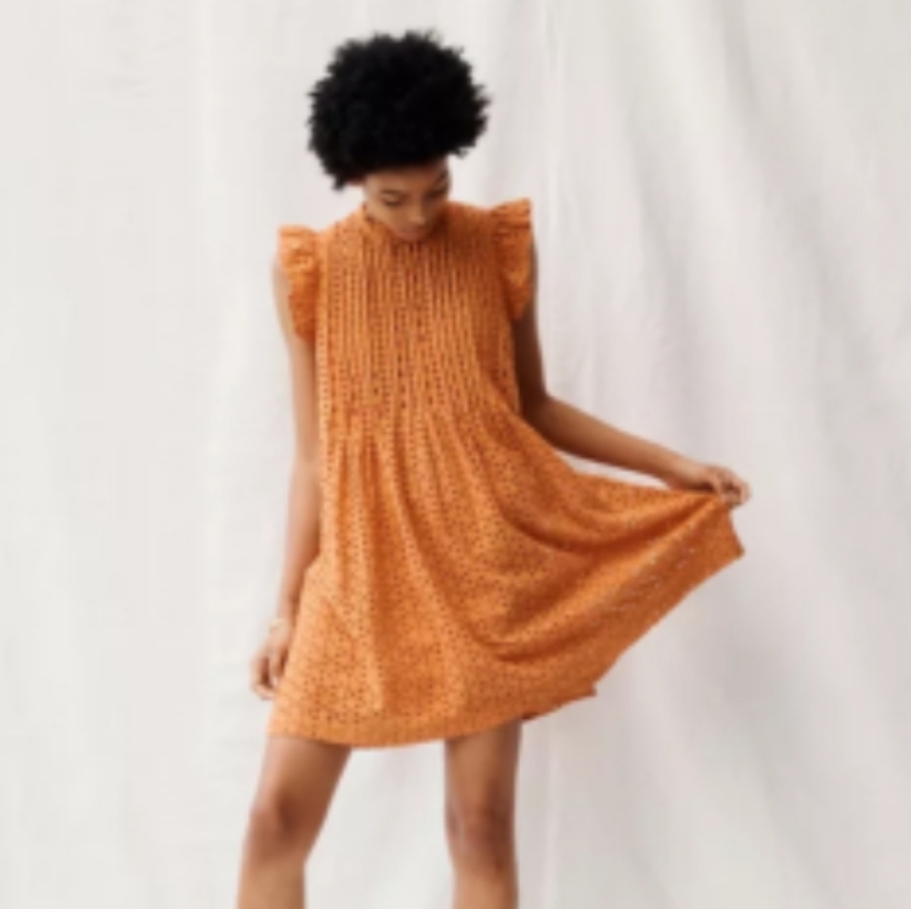 AWESOME Madewell ruffle Sleeve Eyelet Mini Dress